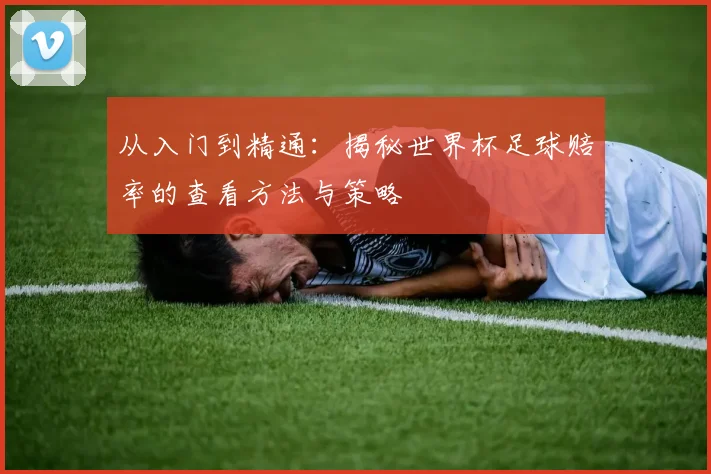 从入门到精通：揭秘世界杯足球赔率的查看方法与策略