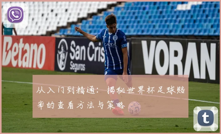 从入门到精通：揭秘世界杯足球赔率的查看方法与策略