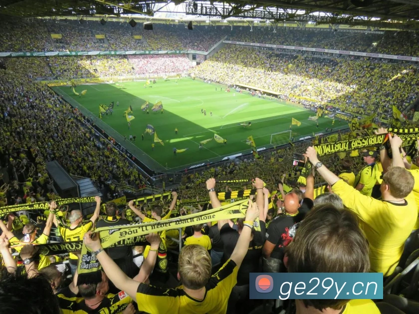 kaiyun官方网站入口品牌故事