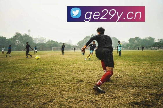 kaiyun官方网站入口服务体系